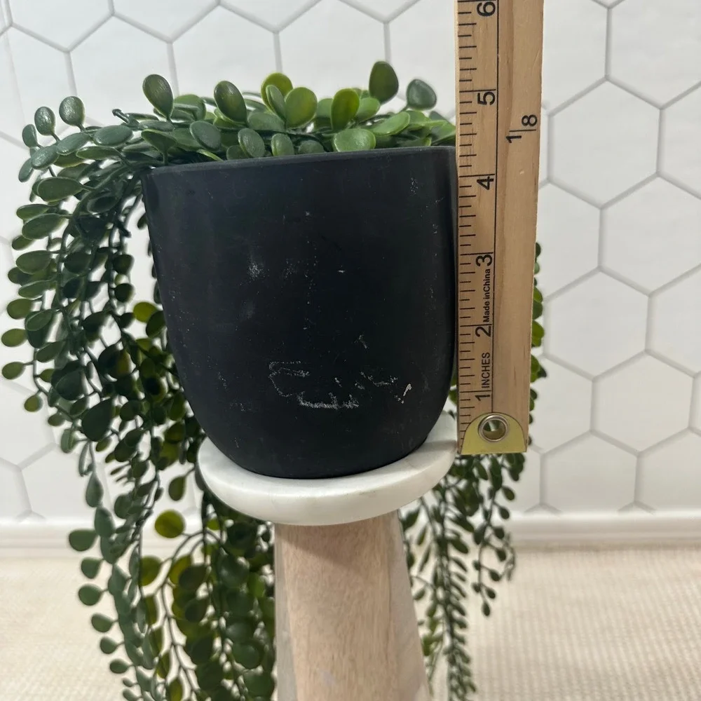 Artificial Trailing Succulent‎ Plant in Black Matte Pot 30 Inch Green Faux Vine
